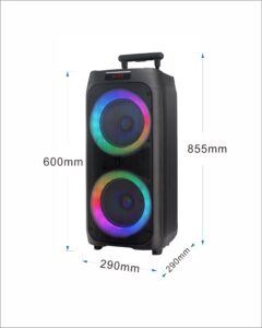 bluetooth party speaker GD-2825 8"*2
