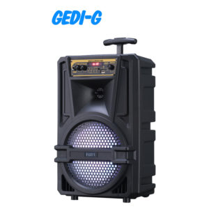 8-inch Bluetooth Speaker with Wireless Microphone PK-21