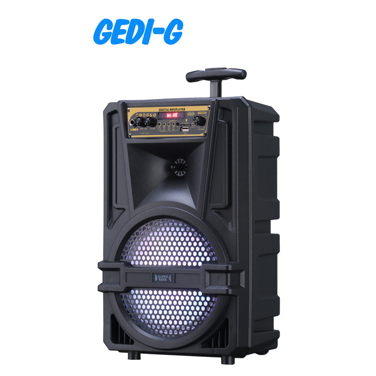 8-inch Bluetooth Speaker with Wireless Microphone PK-21