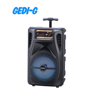 8 inch Blue Tooth Speaker with Wireless Microphone